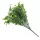  Bloomi.hu