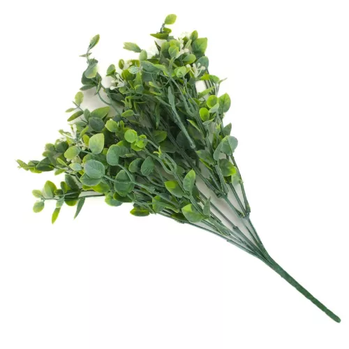  Bloomi.hu