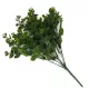  Bloomi.hu