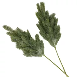  Bloomi.hu