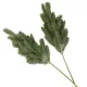  Bloomi.hu
