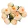  Bloomi.hu
