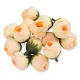  Bloomi.hu