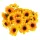  Bloomi.hu