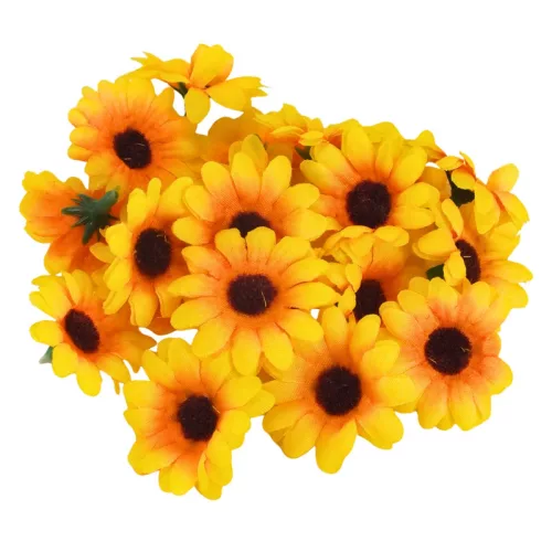  Bloomi.hu