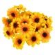  Bloomi.hu