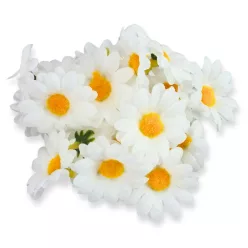  Bloomi.hu