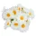  Bloomi.hu