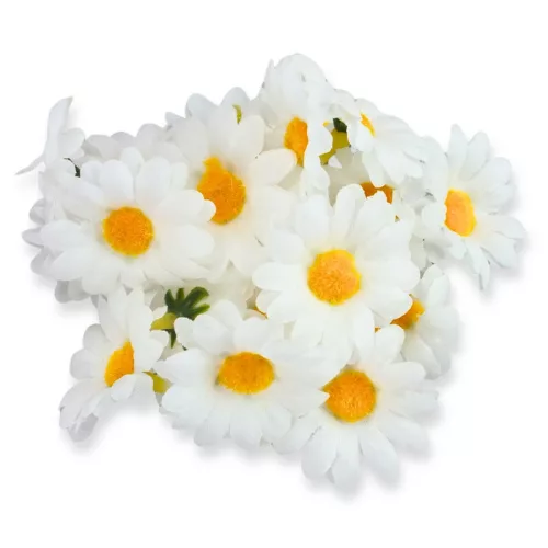  Bloomi.hu