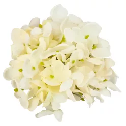  Bloomi.hu