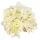  Bloomi.hu