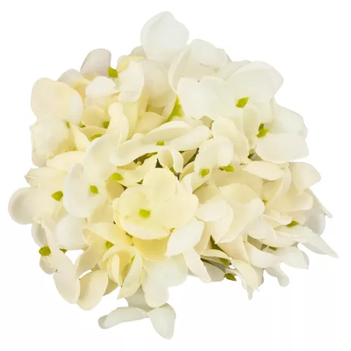  Bloomi.hu