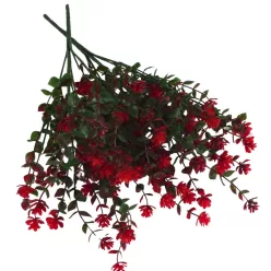  Bloomi.hu