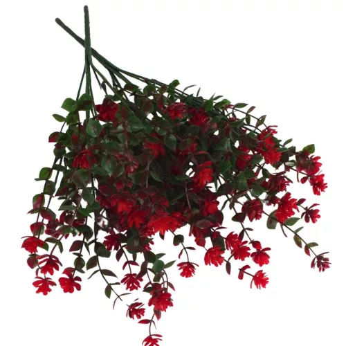  Bloomi.hu