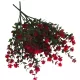  Bloomi.hu