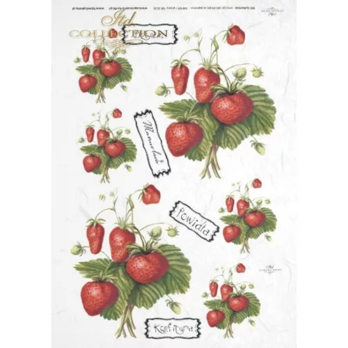  Bloomi.hu