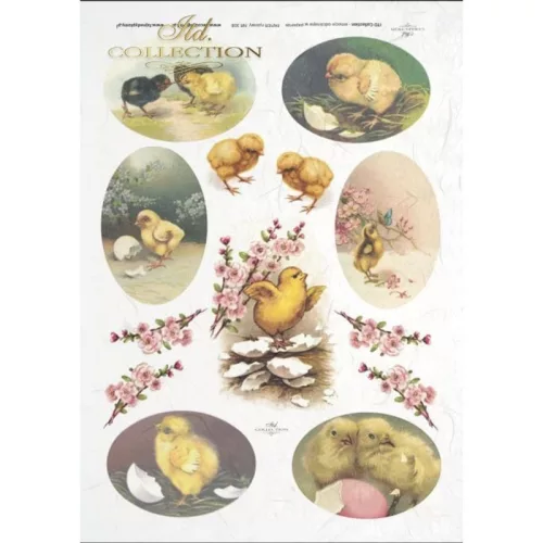 Bloomi.hu