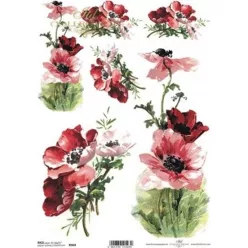  Bloomi.hu