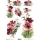  Bloomi.hu