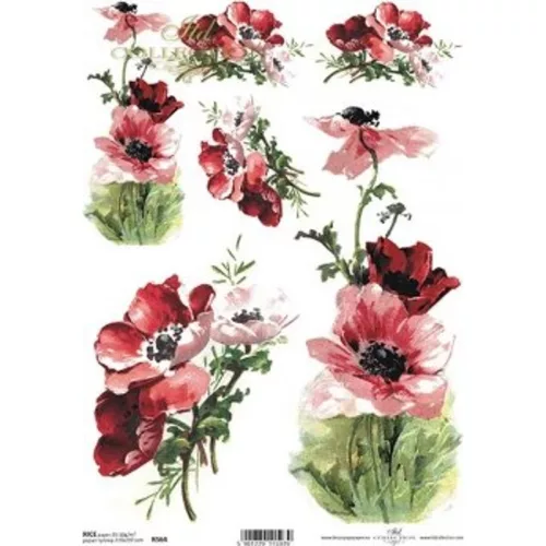  Bloomi.hu