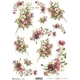  Bloomi.hu