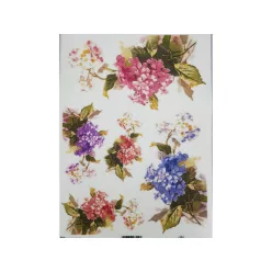  Bloomi.hu