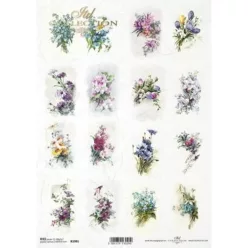  Bloomi.hu