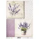  Bloomi.hu
