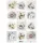 Bloomi.hu
