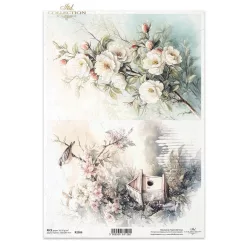  Bloomi.hu