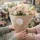  Bloomi.hu