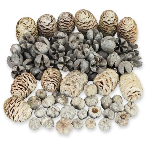 Havas harmónia terméscsomag