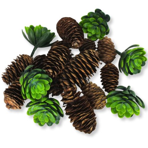 Erdei frisseség terméscsomag