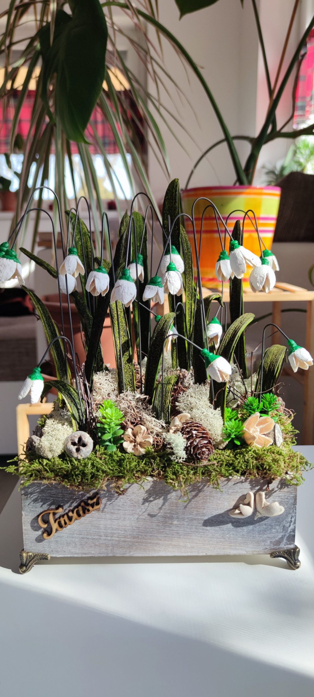 Bloomi Kreatív Lendület
