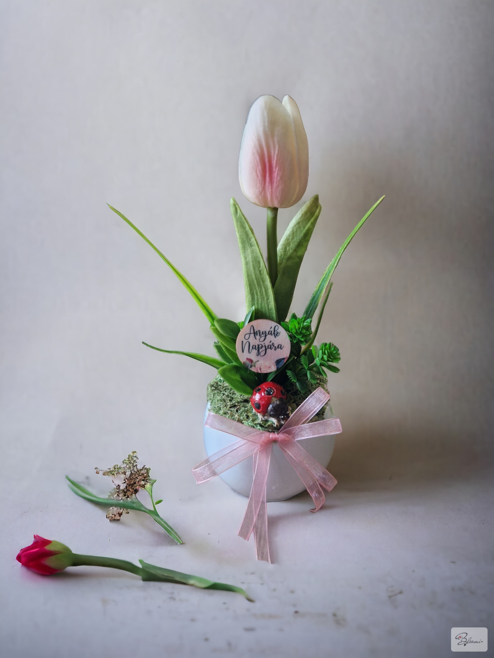 Anyáknapi tulipános, katicás ajándék