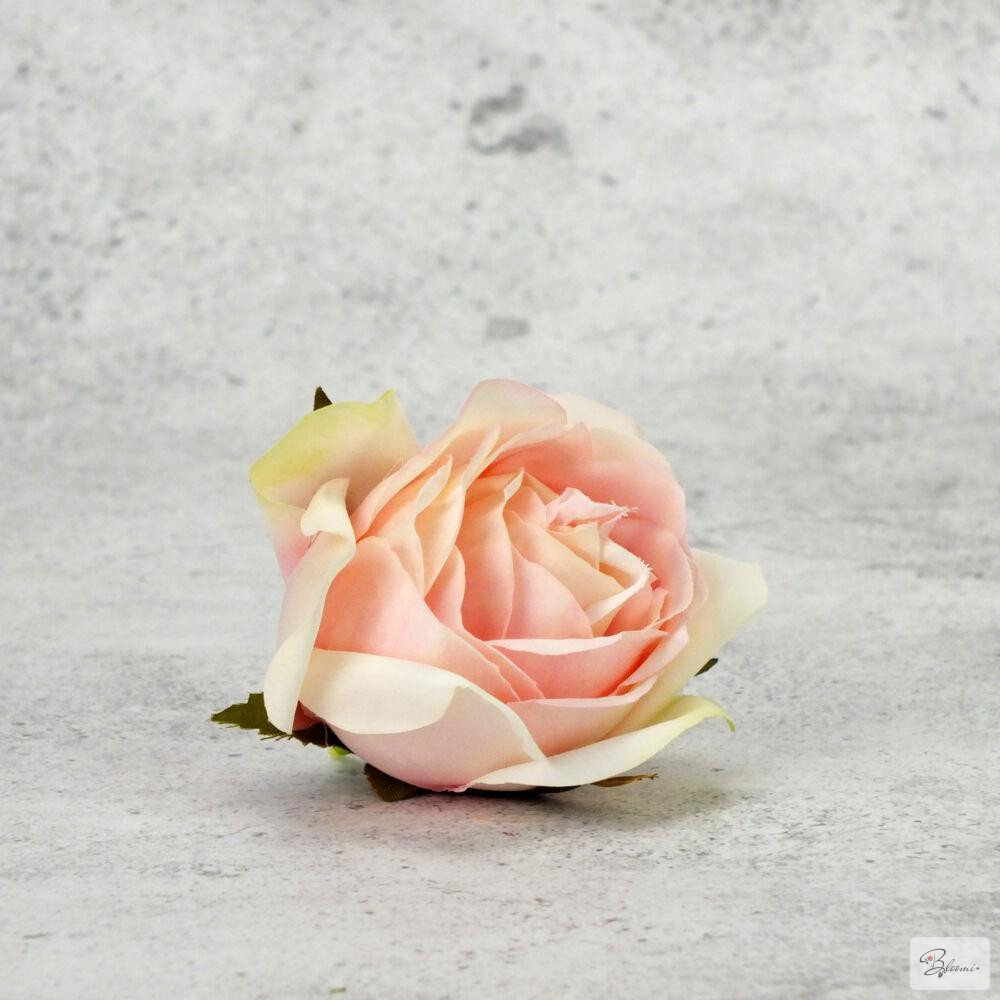 Rózsafej - halvány rózsaszín